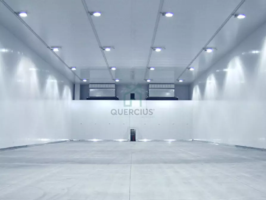 Immagine 4 di Capannone industriale in vendita  in Via Mosche a Legnago