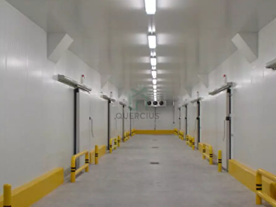 Immagine 5 di Capannone industriale in vendita  in Via Mosche a Legnago