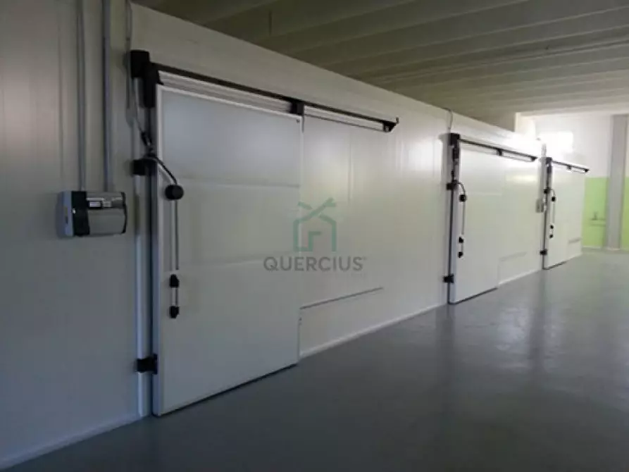 Immagine 6 di Capannone industriale in vendita  in Via Mosche a Legnago