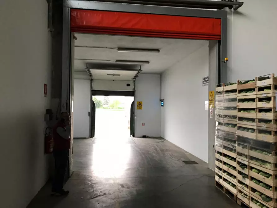 Immagine 10 di Capannone industriale in vendita  in Via Mosche a Legnago