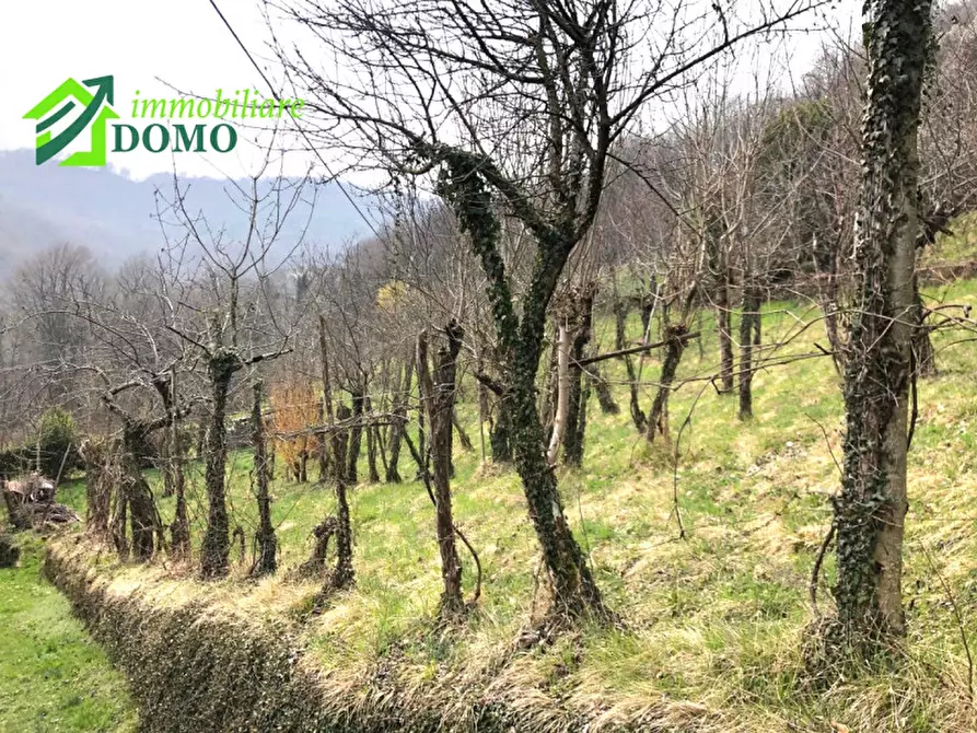 Immagine 15 di Villetta a schiera in vendita  in Via Cunegati 3 a Valli Del Pasubio