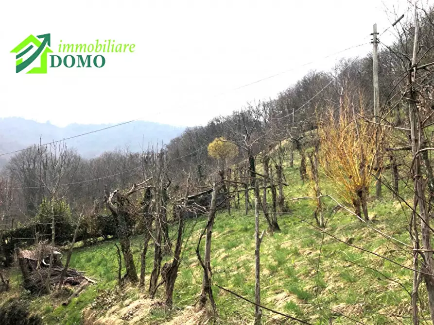 Immagine 16 di Villetta a schiera in vendita  in Via Cunegati 3 a Valli Del Pasubio