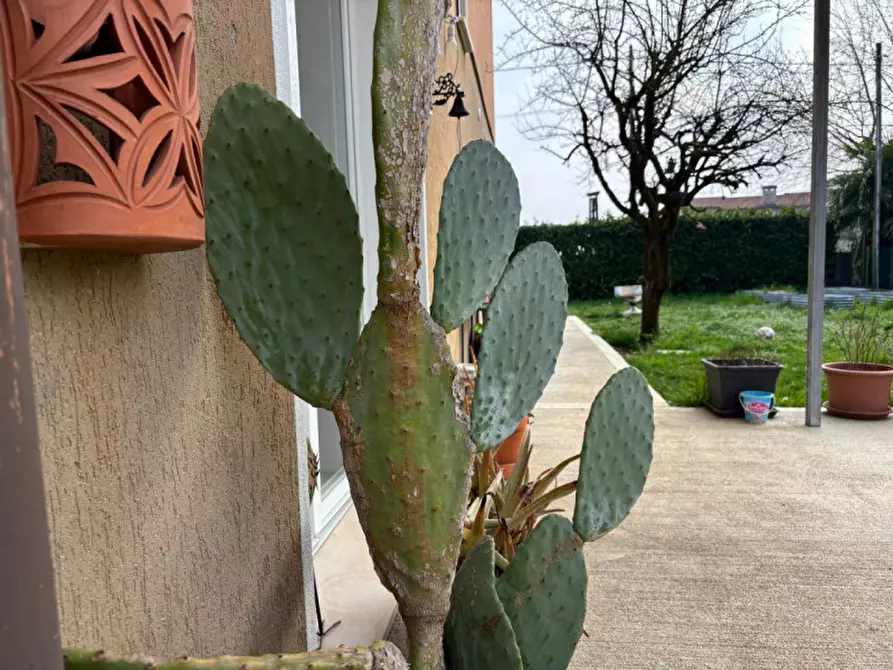 Immagine 7 di Casa indipendente in vendita  a Castelfranco Veneto