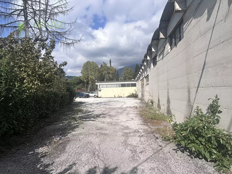 Immagine 11 di Capannone industriale in vendita  in Via cartiera a Lugo Di Vicenza