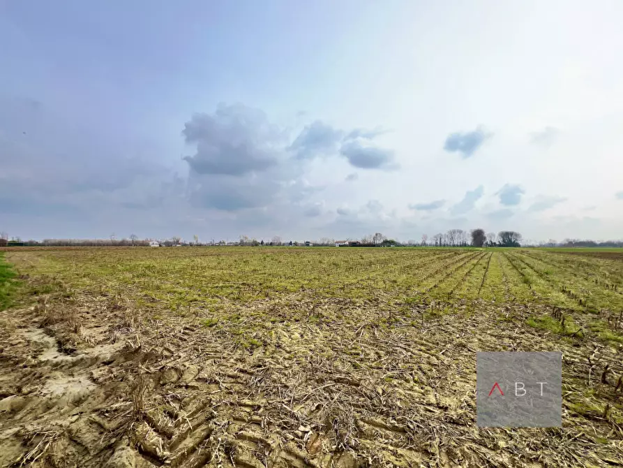 Immagine 1 di Terreno in vendita  a Curtarolo