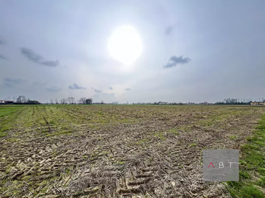 Immagine 2 di Terreno in vendita  a Curtarolo