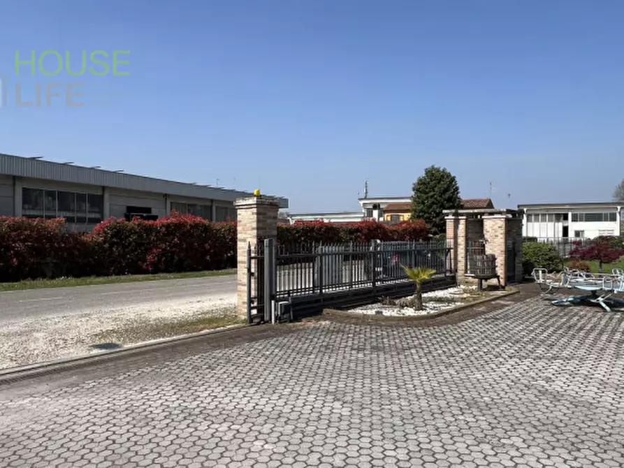 Immagine 20 di Capannone industriale in vendita  in Via dell'agricoltura 29 a Minerbe