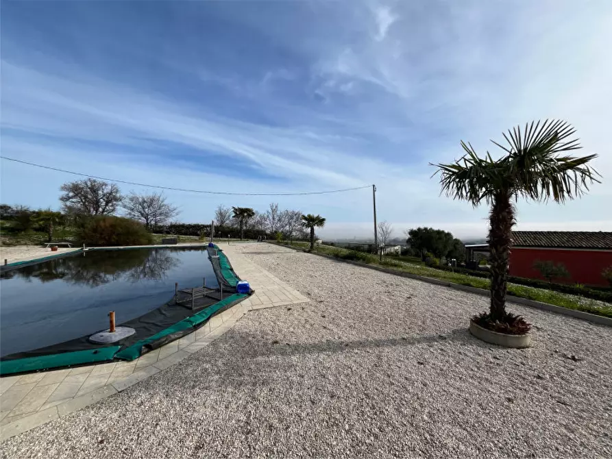 Immagine 19 di Casa indipendente in vendita  a Senigallia