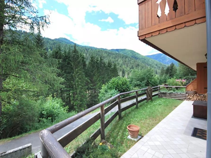 Immagine 11 di Appartamento in affitto  in Via Rizio a Auronzo Di Cadore