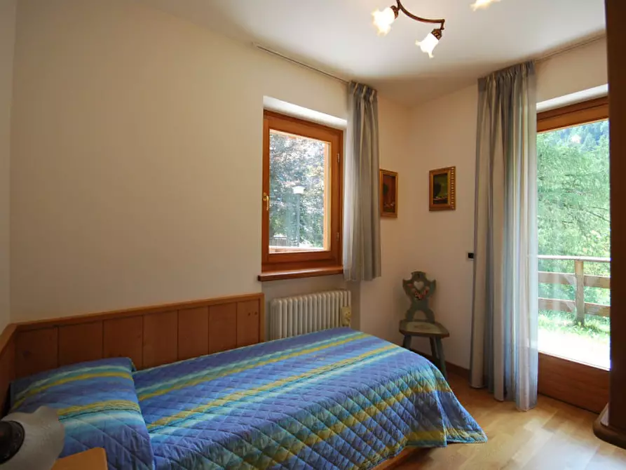 Immagine 16 di Appartamento in affitto  in Via Rizio a Auronzo Di Cadore