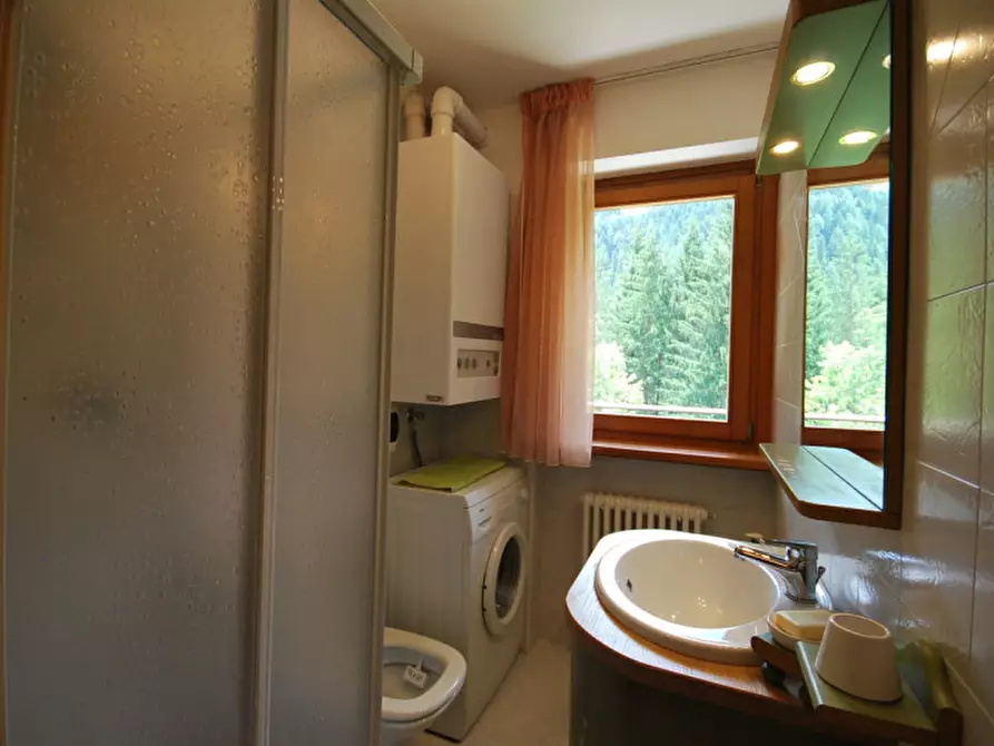 Immagine 17 di Appartamento in affitto  in Via Rizio a Auronzo Di Cadore