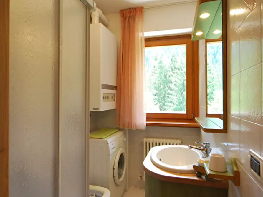 Immagine 18 di Appartamento in affitto  in Via Rizio a Auronzo Di Cadore