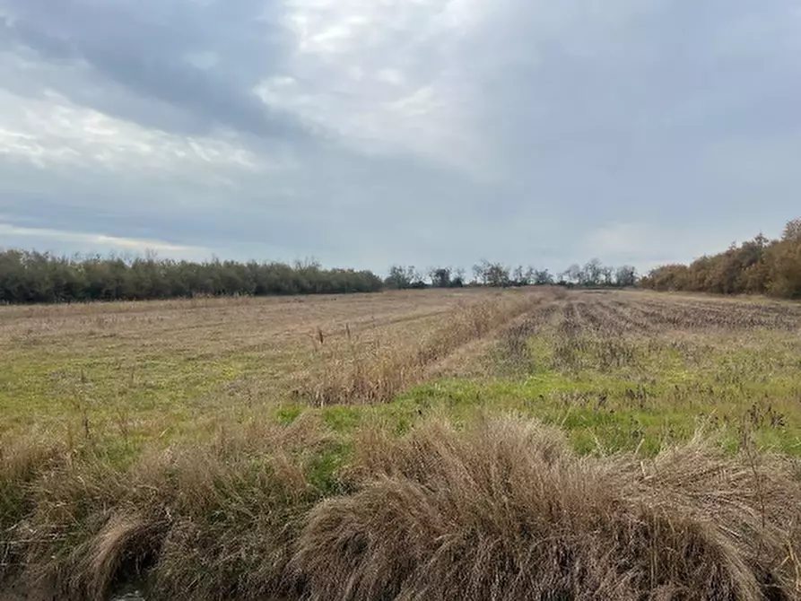 Immagine 1 di Terreno in vendita  in Favaro Veneto a Venezia