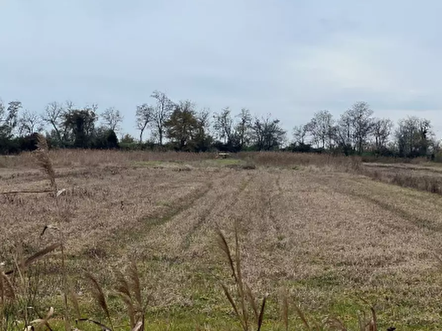 Immagine 3 di Terreno in vendita  in Favaro Veneto a Venezia