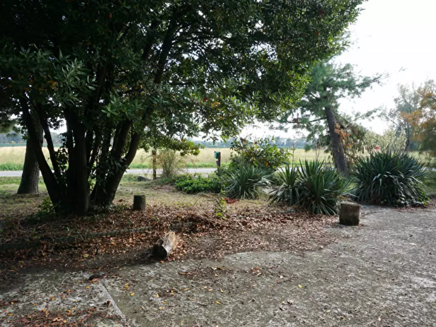 Immagine 43 di Casa trifamiliare in vendita  in Strada Chiesa di Castelnovo 20 a Parma