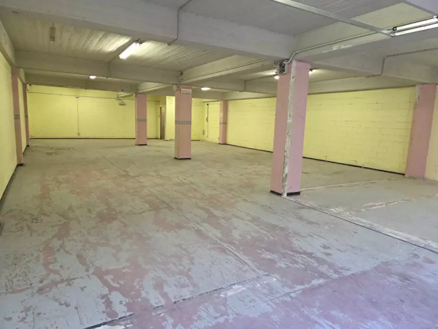 Immagine 16 di Magazzino in affitto  in Viale Lunigiana a Aulla