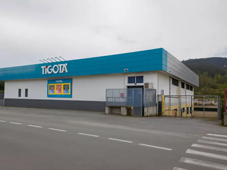 Immagine 2 di Magazzino in affitto  in Via Lunigiana a Aulla