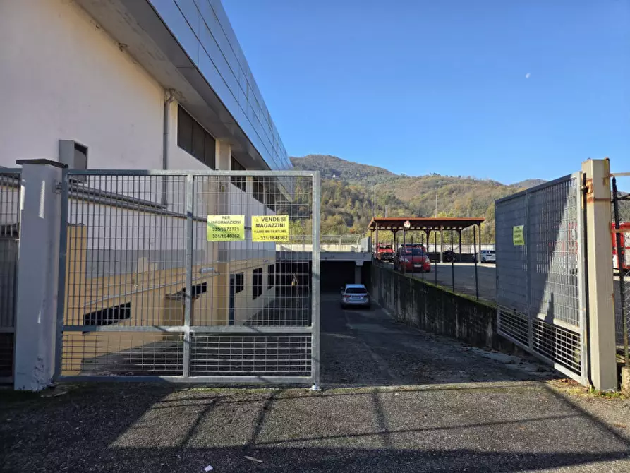Immagine 10 di Magazzino in affitto  in Via Lunigiana a Aulla