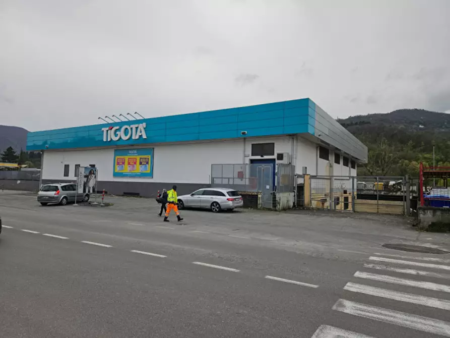 Immagine 24 di Magazzino in affitto  in Via Lunigiana a Aulla