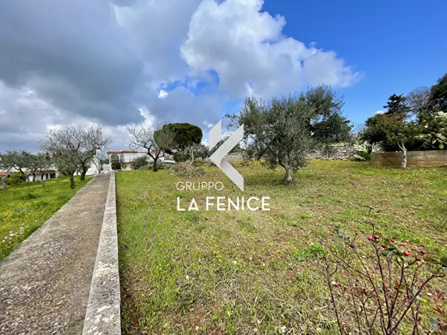 Immagine 33 di Villa in vendita  in contrada monte a Cisternino