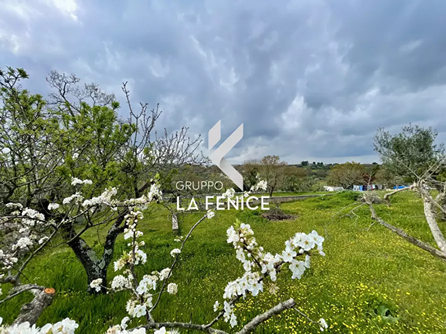 Immagine 35 di Villa in vendita  in contrada monte a Cisternino