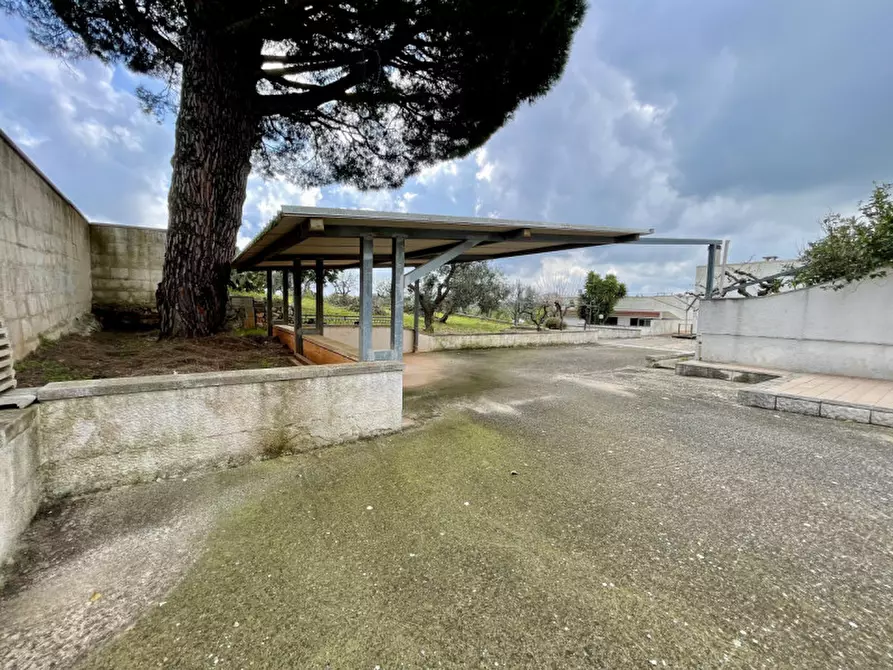 Immagine 52 di Villa in vendita  in contrada monte a Cisternino