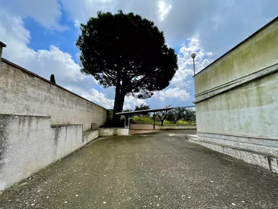 Immagine 54 di Villa in vendita  in contrada monte a Cisternino