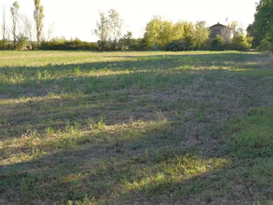 Immagine 1 di Terreno in vendita  in Via Ponte Bianco, snc, 41031 Camposanto MO, Italia a Camposanto