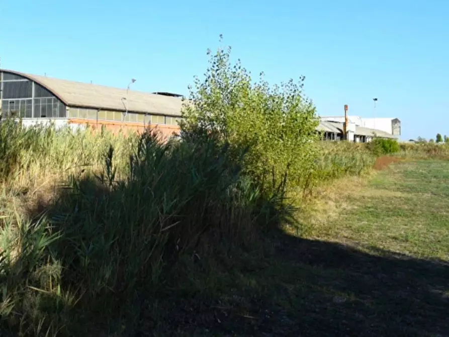 Immagine 3 di Terreno in vendita  in Via Ponte Bianco, snc, 41031 Camposanto MO, Italia a Camposanto