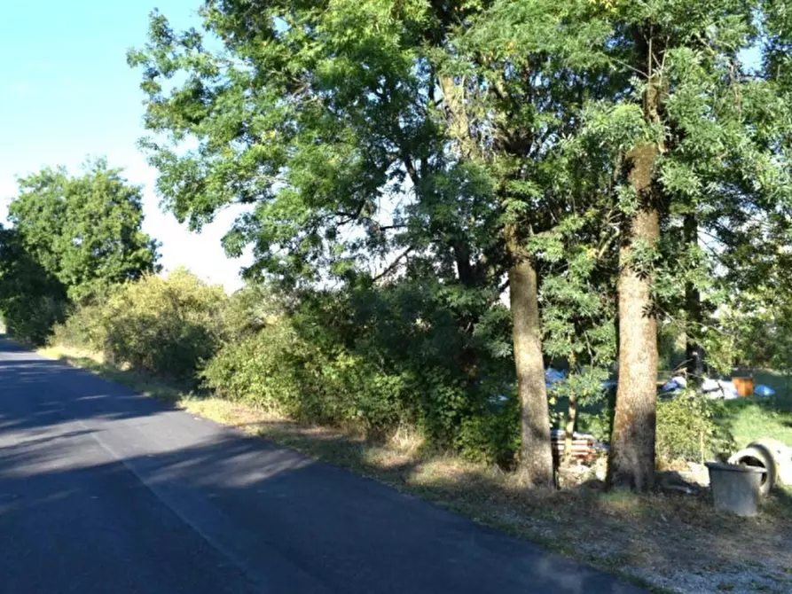 Immagine 5 di Terreno in vendita  in Via Ponte Bianco, snc, 41031 Camposanto MO, Italia a Camposanto