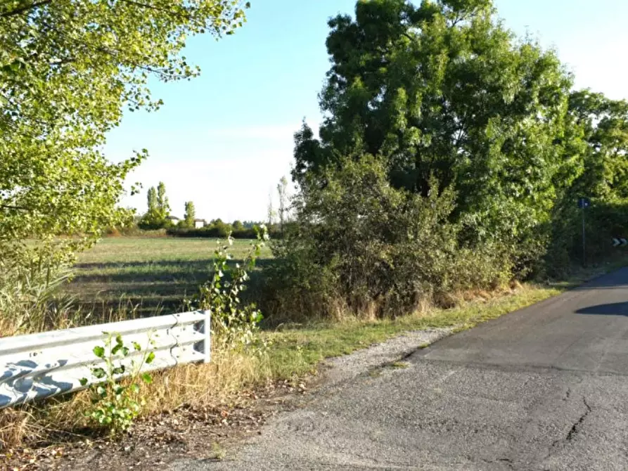Immagine 7 di Terreno in vendita  in Via Ponte Bianco, snc, 41031 Camposanto MO, Italia a Camposanto