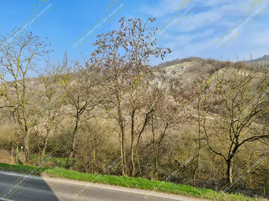 Immagine 19 di Appartamento in vendita  in Via Fornaci a Viano