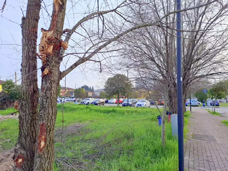 Immagine 4 di Terreno in vendita  in Via degli Scavi a Montegrotto Terme