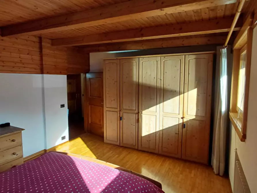 Immagine 17 di Appartamento in vendita  a Santo Stefano Di Cadore
