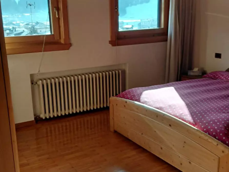 Immagine 18 di Appartamento in vendita  a Santo Stefano Di Cadore