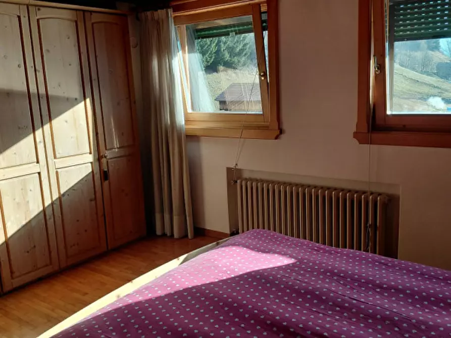 Immagine 19 di Appartamento in vendita  a Santo Stefano Di Cadore
