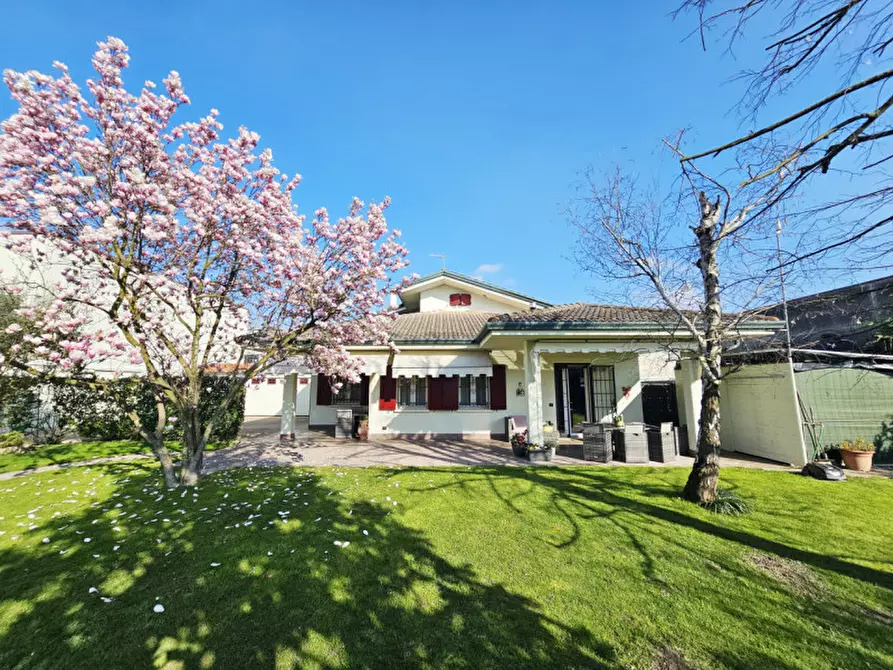 Immagine 5 di Casa indipendente in vendita  in VIA CANTON a Montagnana