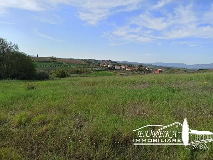 Immagine 2 di Terreno in vendita  in Villastrada a Castiglione Del Lago