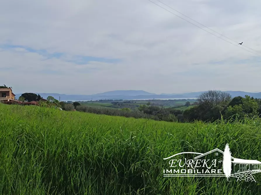 Immagine 5 di Terreno in vendita  in Villastrada a Castiglione Del Lago