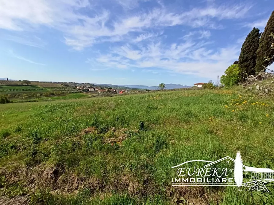 Immagine 6 di Terreno in vendita  in Villastrada a Castiglione Del Lago