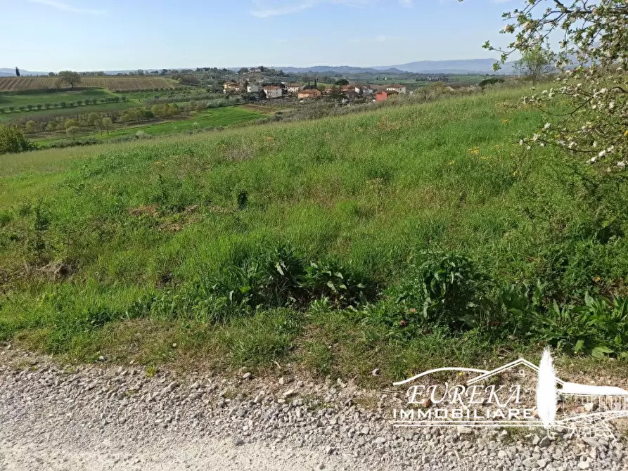 Immagine 7 di Terreno in vendita  in Villastrada a Castiglione Del Lago