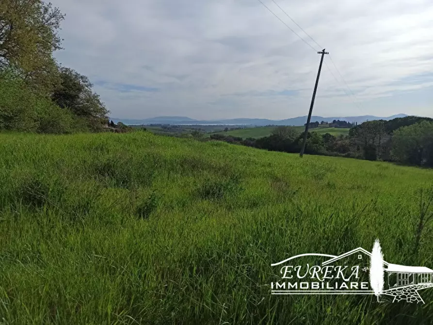 Immagine 8 di Terreno in vendita  in Villastrada a Castiglione Del Lago