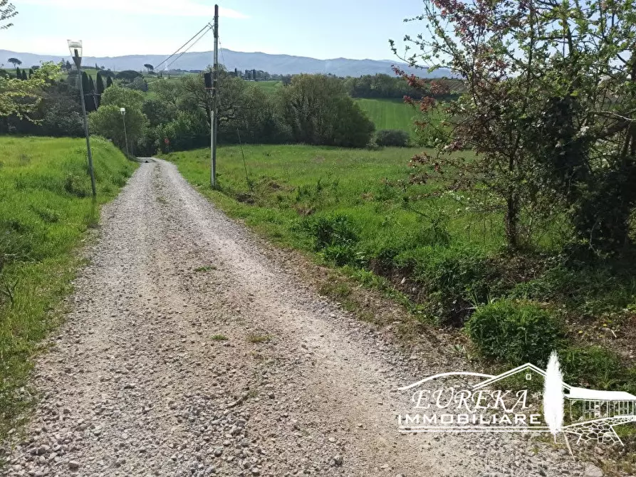 Immagine 10 di Terreno in vendita  in Villastrada a Castiglione Del Lago