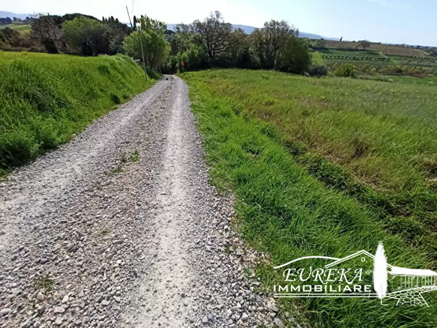 Immagine 11 di Terreno in vendita  in Villastrada a Castiglione Del Lago