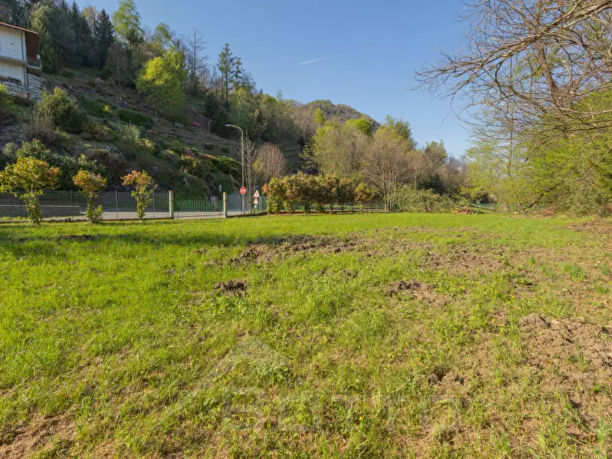 Immagine 27 di Terreno in vendita  in Regione Valleggia a Nonio