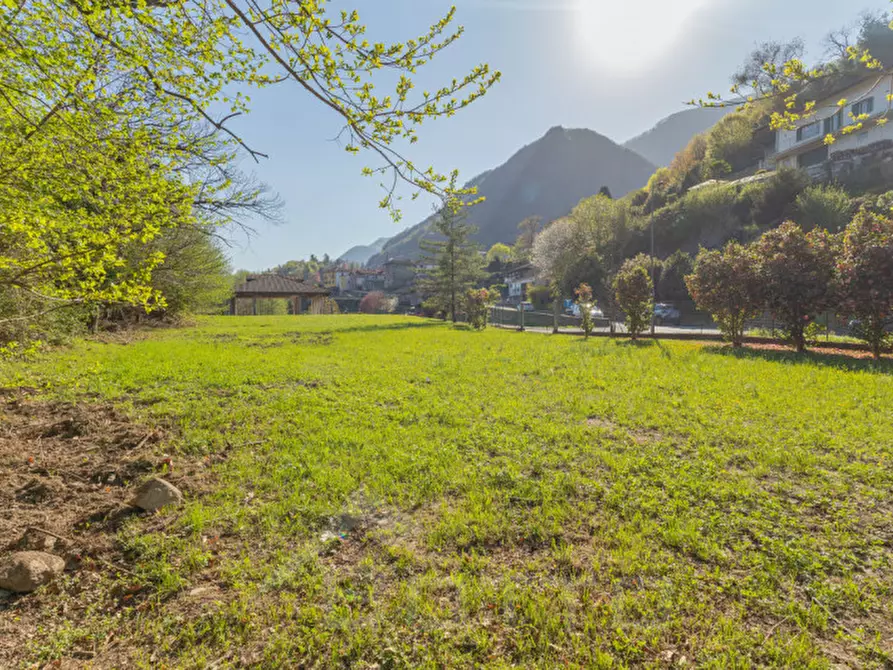 Immagine 29 di Terreno in vendita  in Regione Valleggia a Nonio
