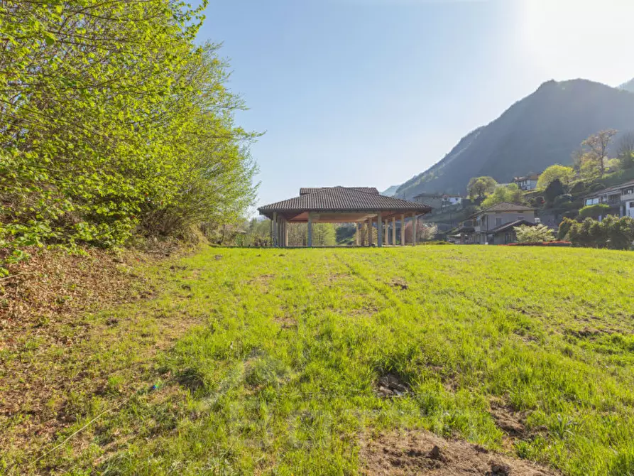 Immagine 31 di Terreno in vendita  in Regione Valleggia a Nonio