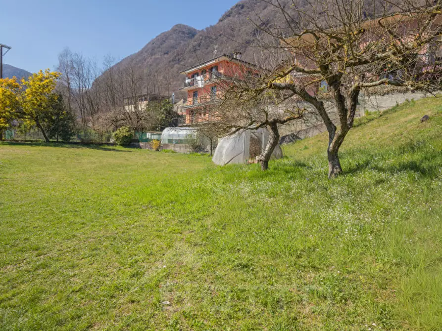 Immagine 4 di Appartamento in vendita  in Via Fratelli Brebbia 5 a Omegna