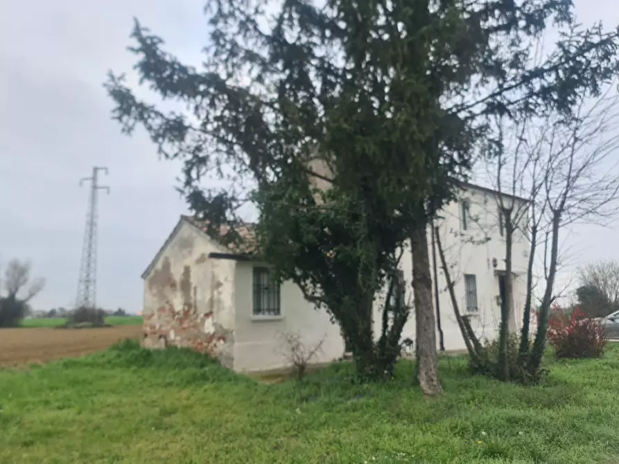 Immagine 3 di Casa indipendente in vendita  in VIA PIOPPA 12 a Migliaro