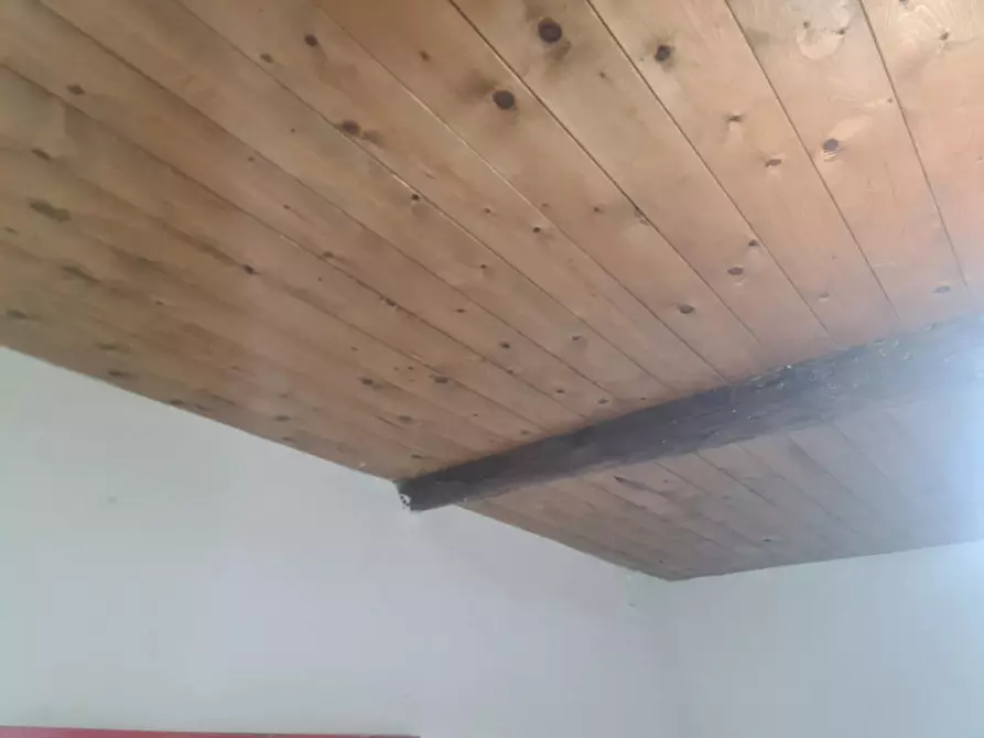 Immagine 6 di Casa indipendente in vendita  in VIA PIOPPA 12 a Migliaro